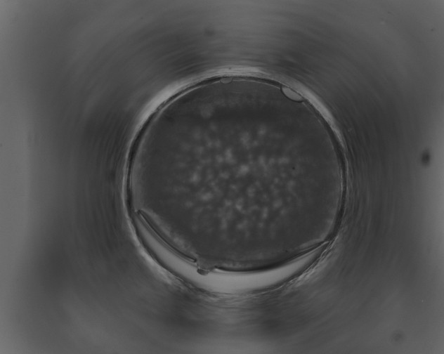 X0000091691245200708231433