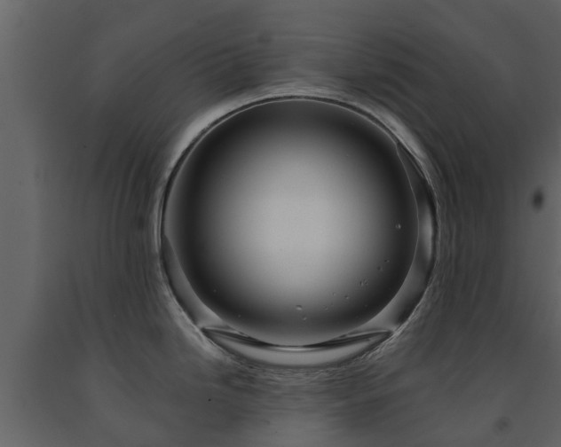 X0000091691246200708231433