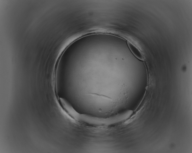 X0000091691247200708231433