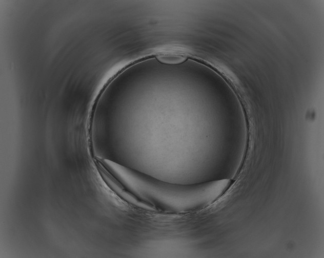 X0000091691248200708231433