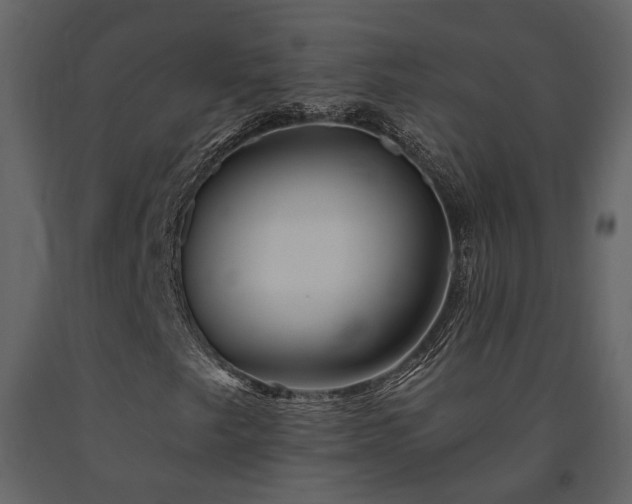 X0000091691249200708231432