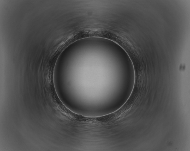 X0000091691250200708231432