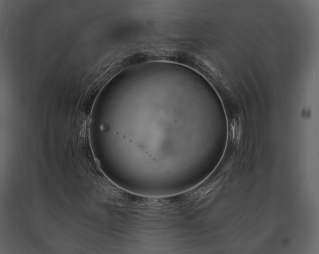 X0000091691251200708231432