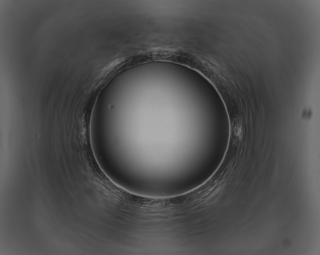 X0000091691252200708231432