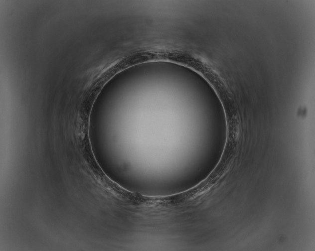 X0000091691253200708231432