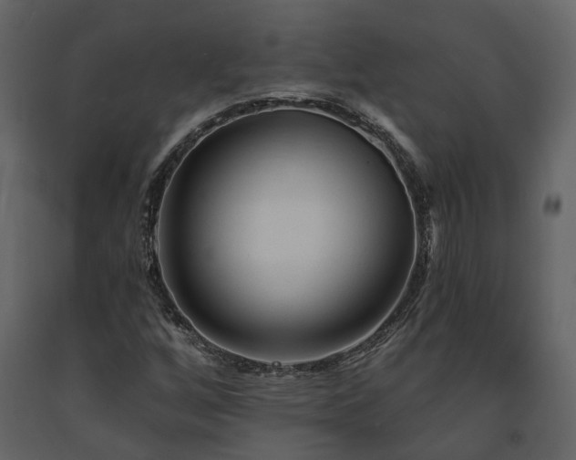 X0000091691256200708231432