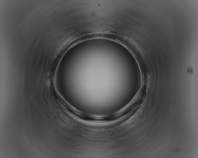 X0000091691257200708231432