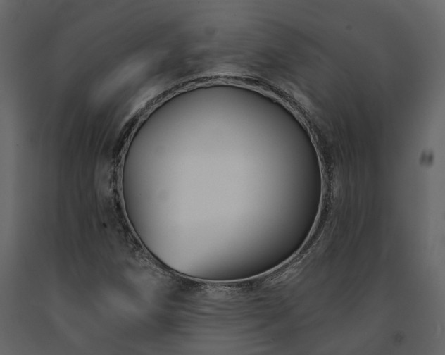 X0000091691258200708231432