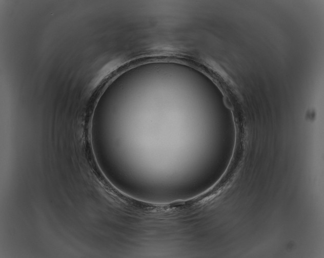 X0000091691259200708231432