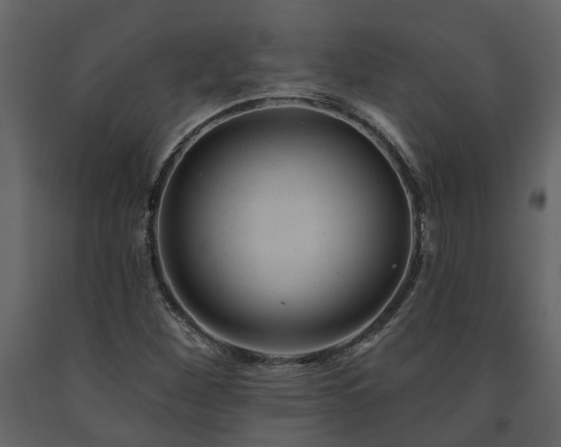 X0000091691260200708231432