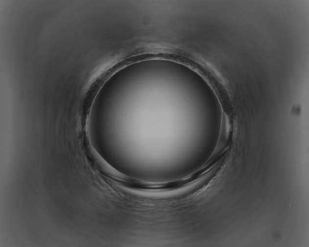 X0000091691261200708231432