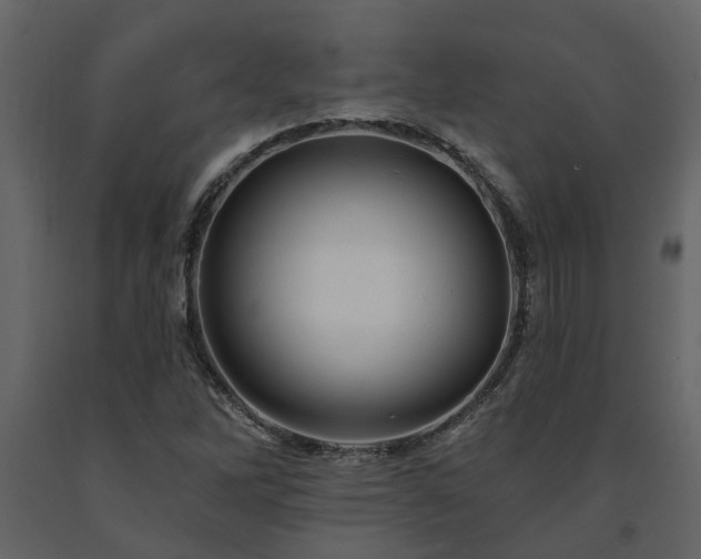 X0000091691262200708231432