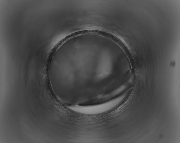 X0000091691263200708231432
