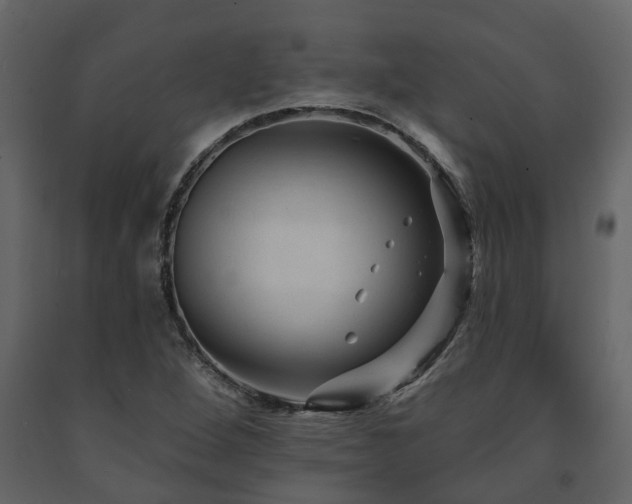 X0000091691264200708231432