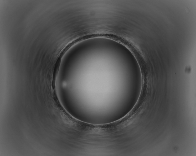 X0000091691265200708231432