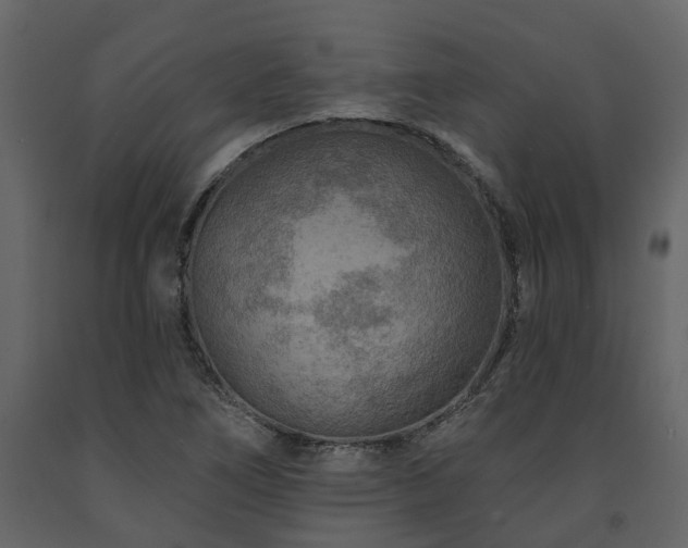 X0000091691266200708231432