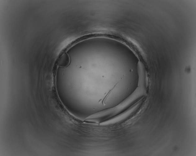 X0000091691267200708231432