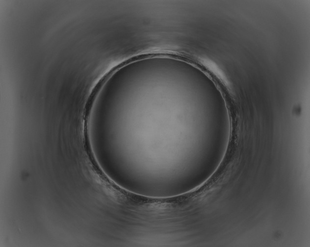 X0000091691268200708231432