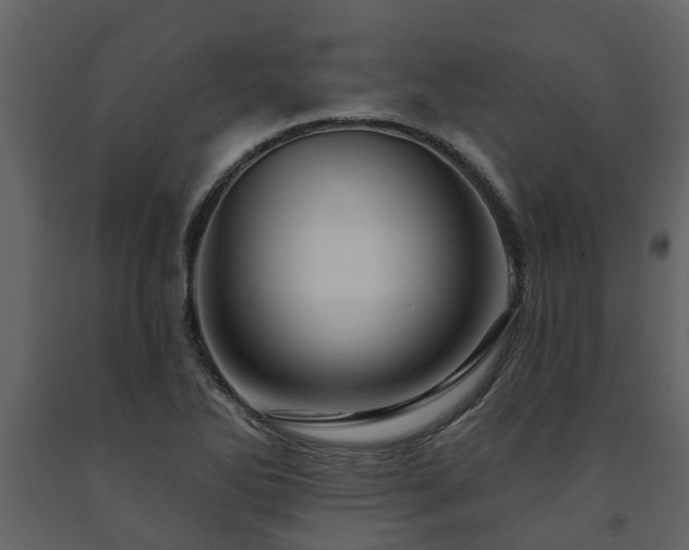 X0000091691270200708231432