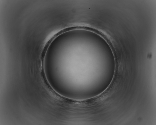 X0000091691271200708231432