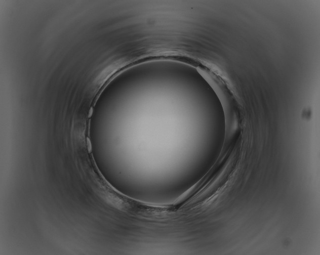 X0000091691273200708231431