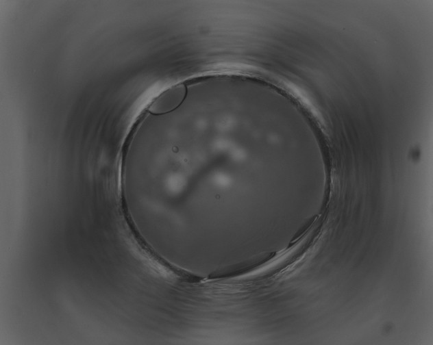 X0000091691275200708231431