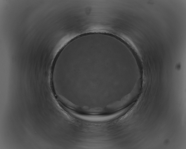 X0000091691277200708231431