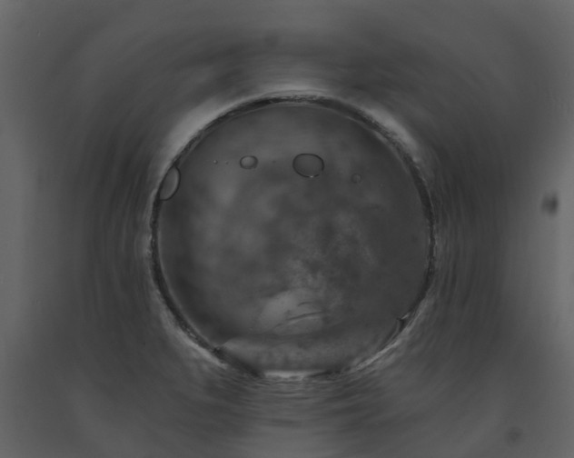 X0000091691279200708231431