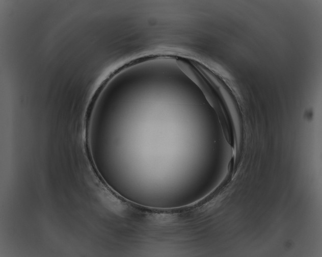 X0000091691280200708231431