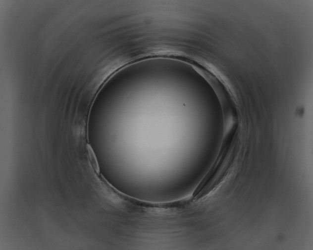 X0000091691281200708231431