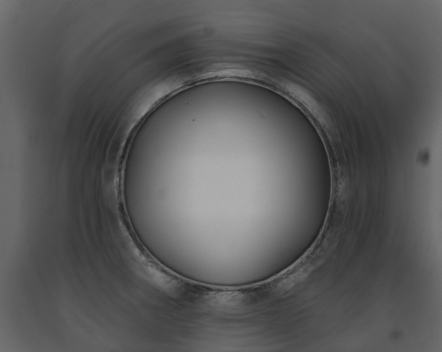 X0000091691282200708231431