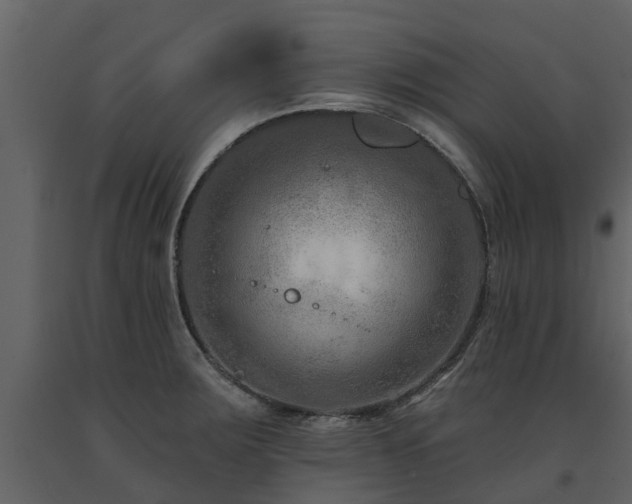 X0000091691283200708231431