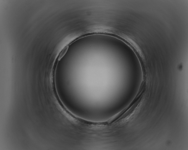 X0000091691285200708231431