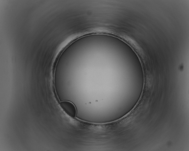 X0000091691286200708231431