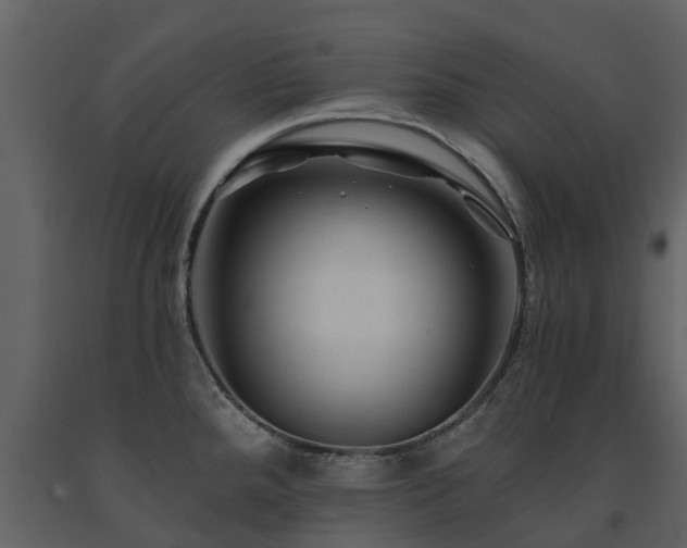 X0000091691288200708231431