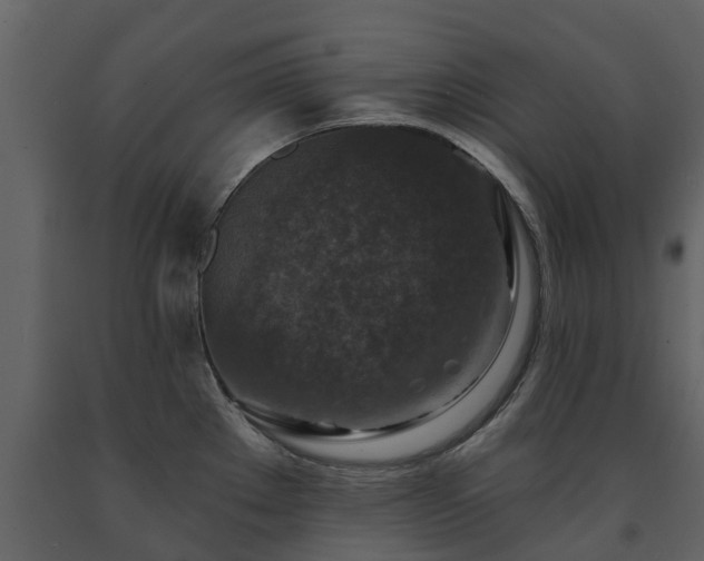 X0000091691289200708231431