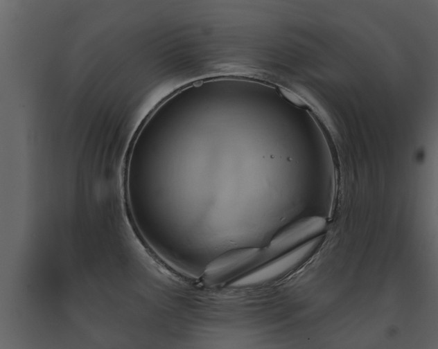 X0000091691291200708231431