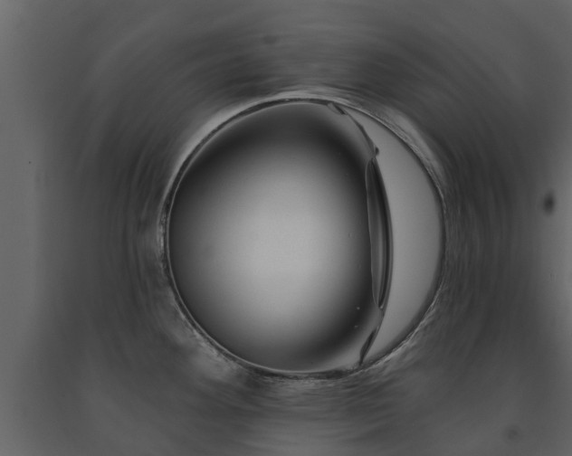 X0000091691292200708231431