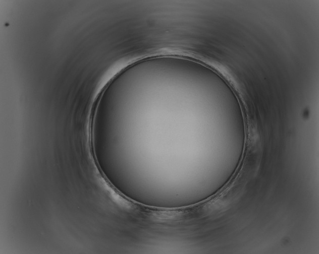 X0000091691294200708231431