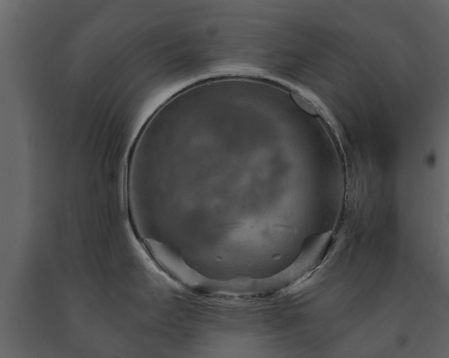 X0000091691295200708231431