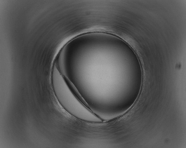 X0000091691296200708231431