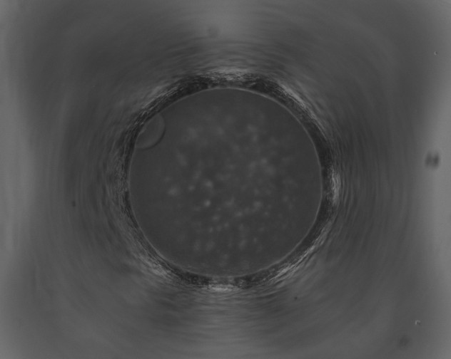 X0000091691297200708231431