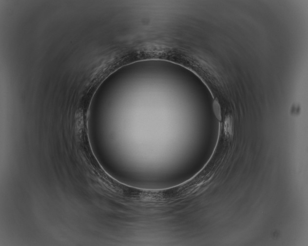 X0000091691299200708231431