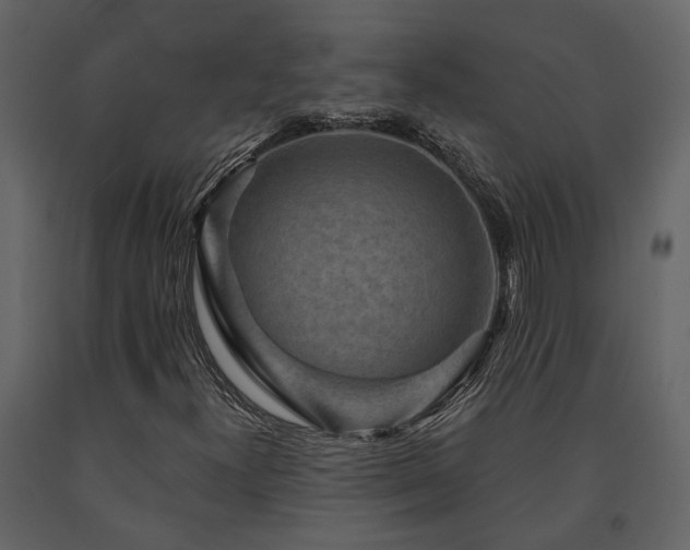 X0000091691300200708231431