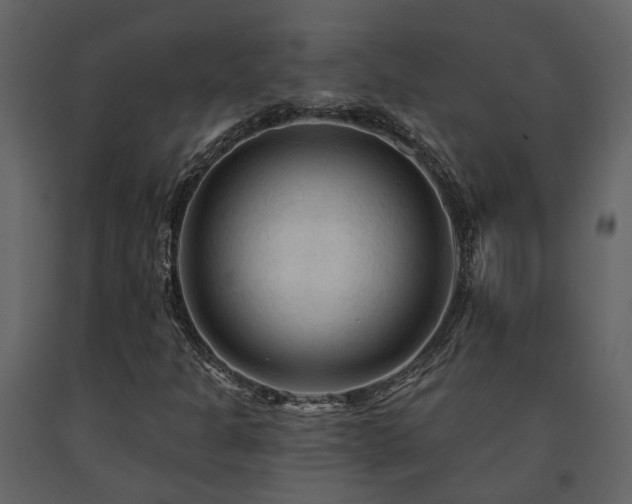 X0000091691301200708231431