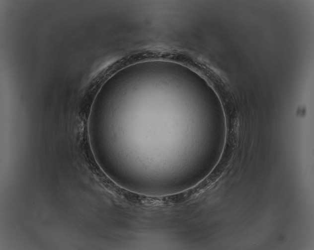 X0000091691302200708231431