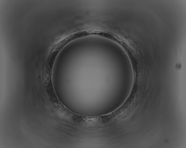 X0000091691303200708231431