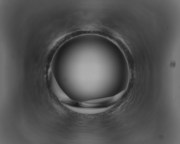 X0000091691304200708231431