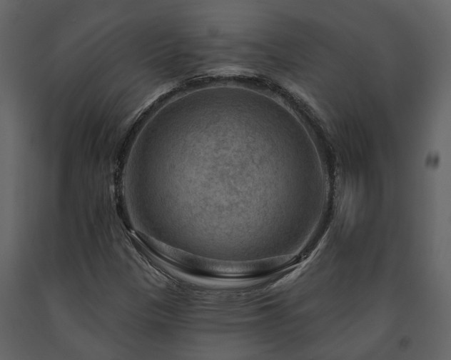 X0000091691305200708231431