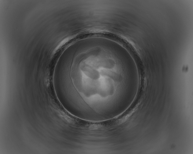X0000091691306200708231431